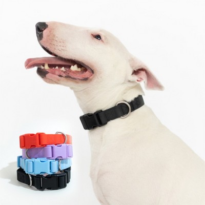 Springer Extra Large Dog Collar